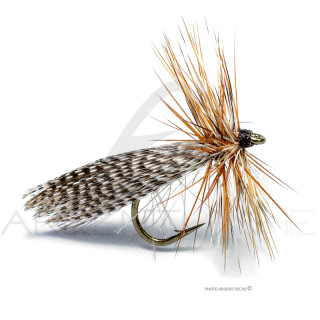 Mosca Florian Stéphan Sedge Cul de canard S2G