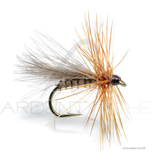 Fly Florian Stéphan Sedge Cul de canard S5