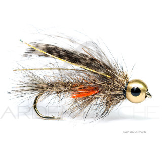 Florian Stéphan Fly Veron Paonne