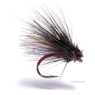Igor et Nadica Stancev Black Caddis Fly