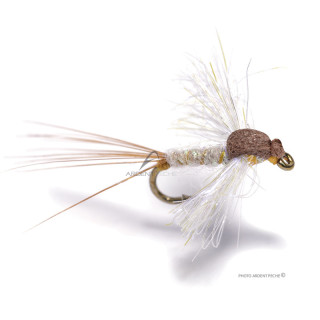 Igor et Nadica Stancev Caenis Spent Fly