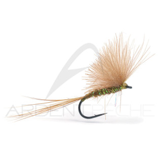 Mosca Igor e Nadica Stancev CDC Dun Brown