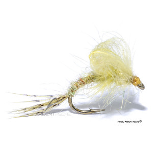 Mosca Igor e Nadica Stancev Emergente loop sulphur