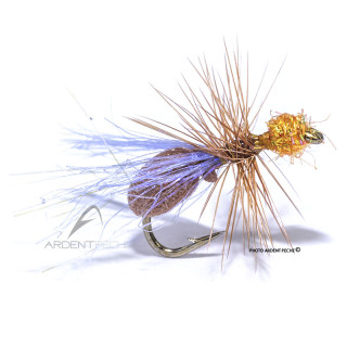 Fly Igor and Nadica Stancev Winged ant cinnamon