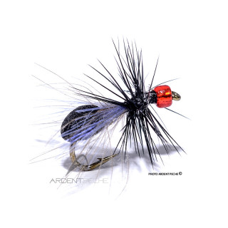Fly Igor and Nadica Stancev Winged black ant red head