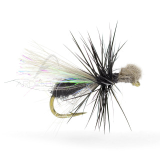 Igor and Nadica Stancev Fly CDC Loop Ant