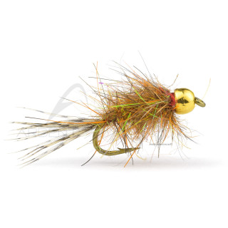 Mosca Igor e Nadica Stancev Hares Ginger Nymph