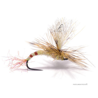 Igor et Nadica Stancev Mai Parachute Danica Fly