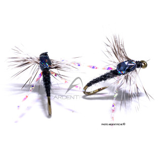 Fly Igor and Nadica Stancev Midge Black