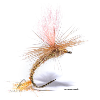 Fly Igor and Nadica Stancev Parachute ginger