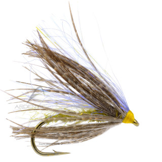 Mosca Igor e Nadica Stancev Peute olive