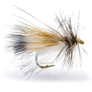 Mosca Igor e Nadica Stancev white moth