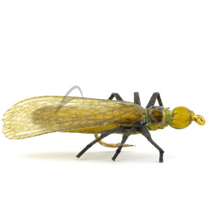 Realistic fly Stonefly dry II Skwala
