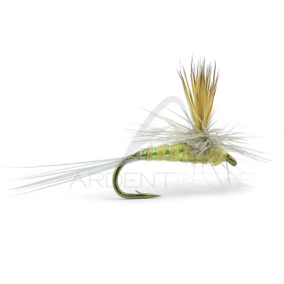 Mosca RIO parachute Wulff PMD
