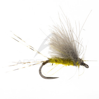 Mosca STS CDC baetis olive