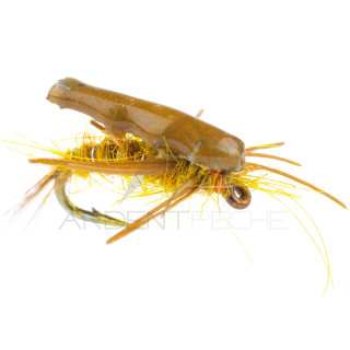 Ninfa Alan Campbell SBN 003