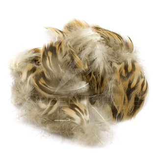 Duck Mixed Flank and Breast Feathers