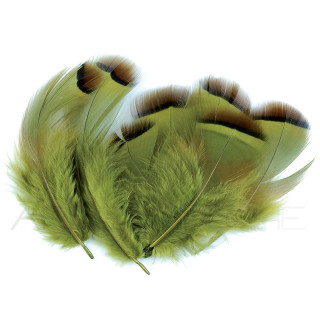 Red Partridge Dyed Olive