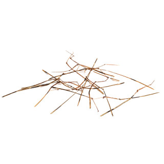 Knotted Insect Legs DEVAUX