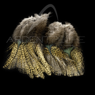 Pardo SELECT Grade 3 Aconchado Feathers