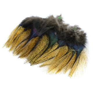 Pardo Feathers Florian Stephan grade 2 Flor d´escoba