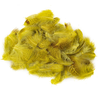 Partridge light hen back feathers dyed yellow