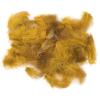pernice piume di collare chiaro tinto ginger