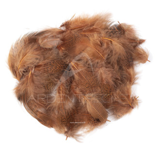 pernice piume di collare chiaro tinto fiery brown
