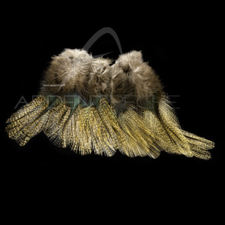 Pardo SELECT grade 2 corzuno médio Feathers