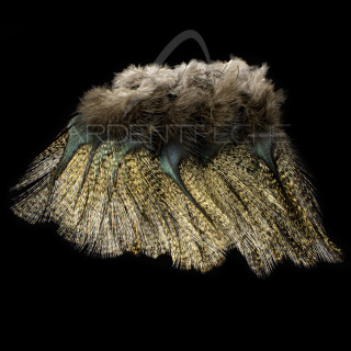 Pardo SELECT Grade 1 Aconchado Feathers