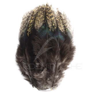 Pardo Feathers DEVAUX Pelle claire