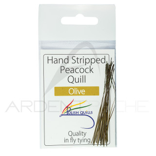 Quill de paon Quill&Fly
