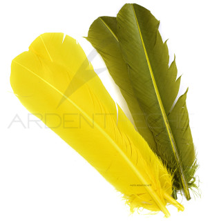 Turkey dyed wing feathers