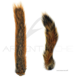 Squirrel Tail