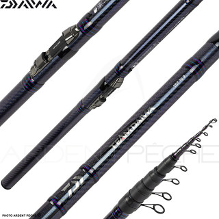Canne DAIWA Team daiwa téléréglable
