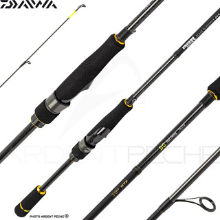 Spinning rod DAIWA BG RF