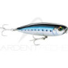 Leurre de surface RAPALA Precision xtreme pencil SW 107