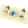 DEVAUX Selection 4 Ant Flies