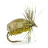 Mosca DEVAUX Terrestre JBT 02
