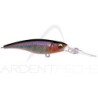 Pesce nageur MEGABASS Shading X R 62