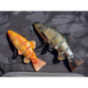 Soft bait FOX RAGE Replicant jointed super natural tench 18cm