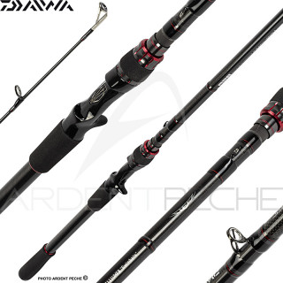Canna casting DAIWA Steez AGS 21