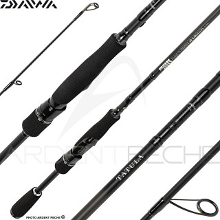 Spinning rod DAIWA Tatula 23