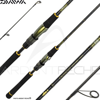 Canna spinning DAIWA Crosscast SW 23