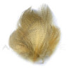 Anatra fianchi