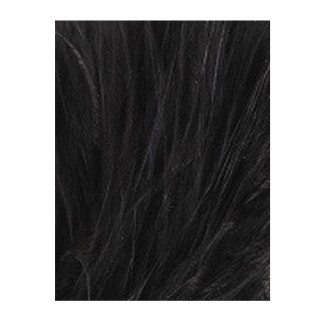 Tintura Veniard