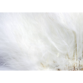 Marabù piume quill