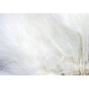Marabou quill feathers