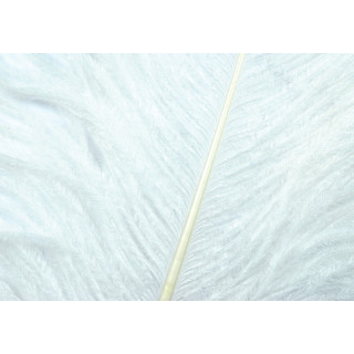 Ostrich herls on stem