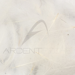 Cul de canard sfuso AB FLY 1gr